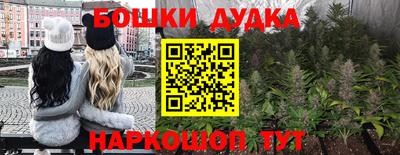 индика Бузулук
