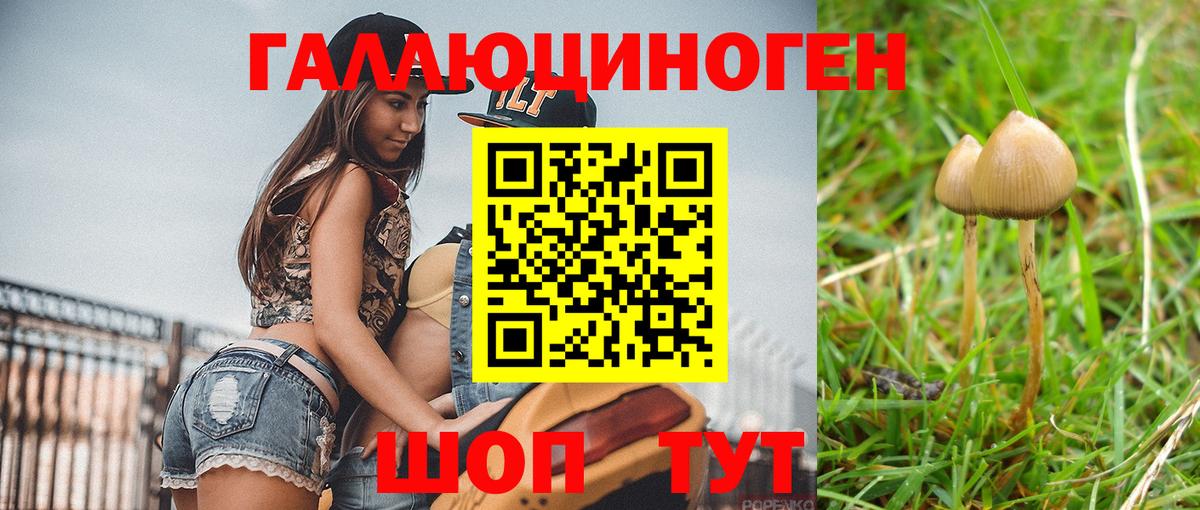 Холмск  Псилоцибиновые грибы MAGIC MUSHROOMS  Вход с VPN 